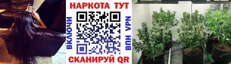 Виды наркотиков купить Приморско-Ахтарск A PVP hydra онион Галлюциногенные грибы ГАШИШ Меф