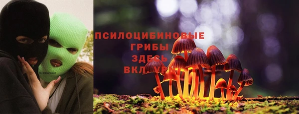 а пвп мука Армянск