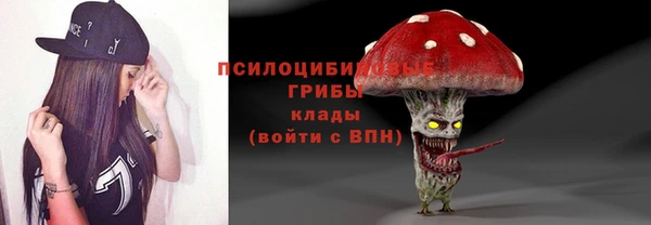 тгк Арсеньев